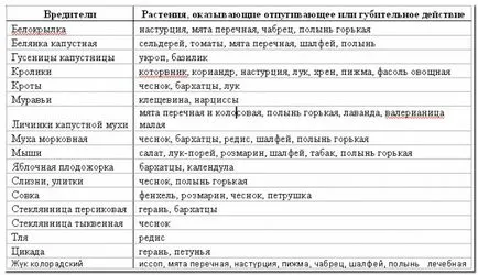 Това могат да бъдат засадени с домати