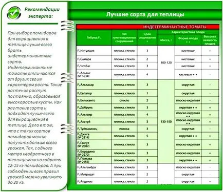 Разнообразието от домат за оранжерията Разнообразието от домат за оранжерията