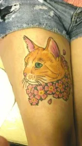 скици на котки скици на котки
