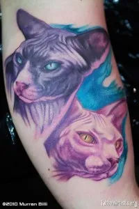 скици на котки скици на котки