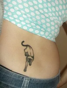 скици на котки скици на котки