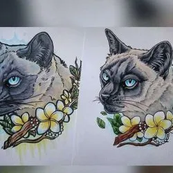 скици на котки
