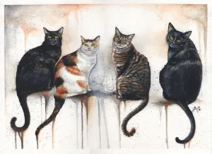скици на котки скици на котки