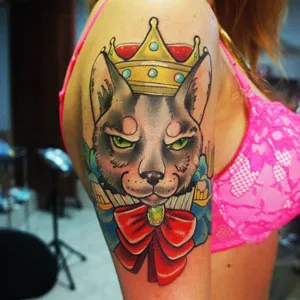скици на котки скици на котки