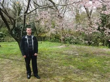 Какво е Катори