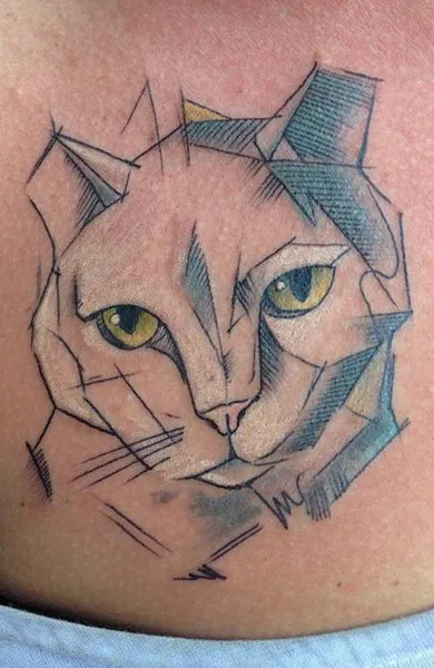 скици на котки