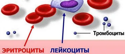 Каква е цената на тромбоцитите