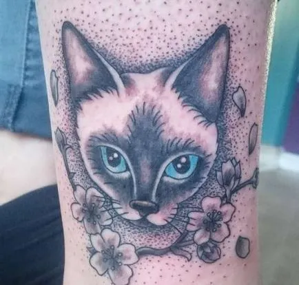 скици на котки