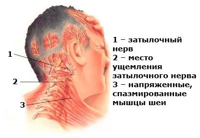 Колко време минава лимфен възел