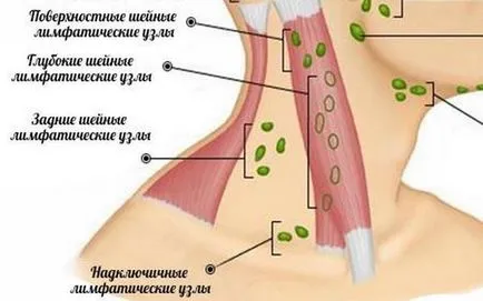 Колко време минава лимфен възел