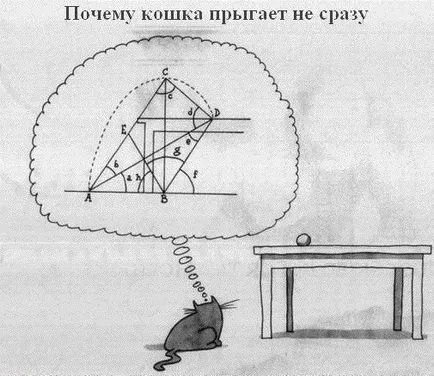 Тя мисли, че котката Тя мисли, че котката