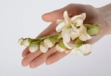 Майсторски клас щифтове