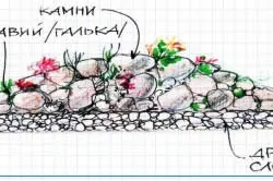 Alpine градина с водопад и езерце (снимка)