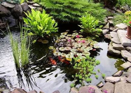 Алпийските градини с водопад - стъпка по стъпка снимки и ландшафтен дизайн свои ръце