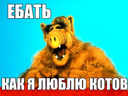 Alf връща - Alpha снимка, кадри от шоуто, цитати от серията Alphas