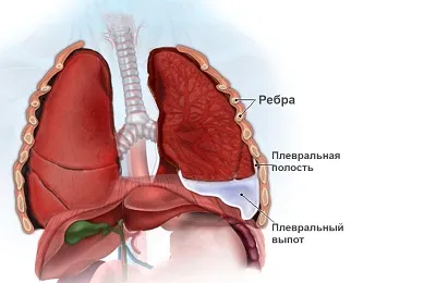Тъй като течността се евакуира от белите дробове