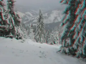3D-ролки - 3D формати