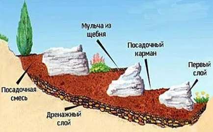 Алпийски пързалки съвети пейзаж дизайн за създаване, снимка