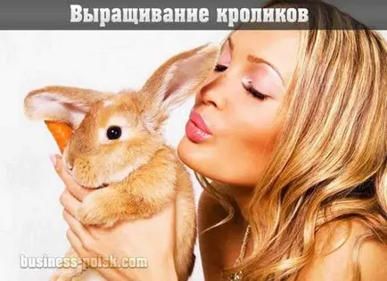 Бизнес в страната, как да се възползва от шест стотна