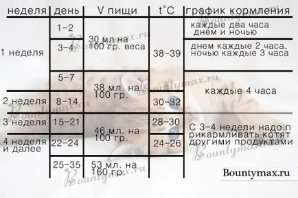 Какво да се хранят коте