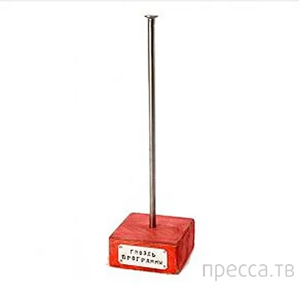 Анатомия или фрази, като 