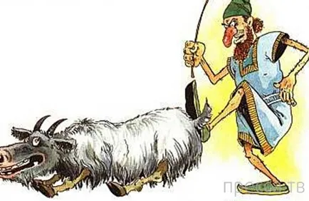 Анатомия или фрази, като 