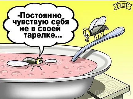 Анатомия или фрази, като 