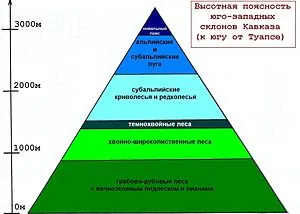 Черноморското крайбрежие на България