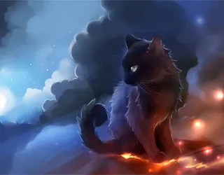 черна котка