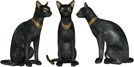 черна котка