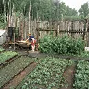 Какво ще се промени, след като новият закон за SNT, е