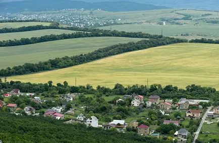 Какво ще се промени, след като новият закон за SNT, е