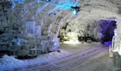 Това пиеше гръцките богове, за да се запази вечна младост и красота