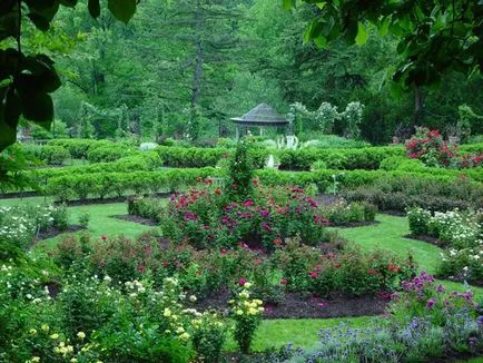 Какво е arboretums и ботанически градини