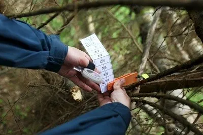 Каква е IMB и как да се подготвим за него - блог спортен маратон