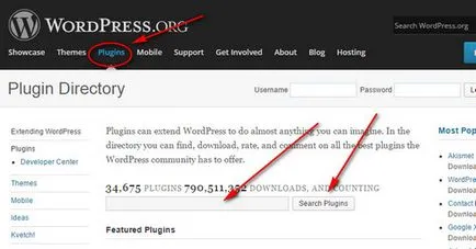 Какво е WordPress плъгин 1