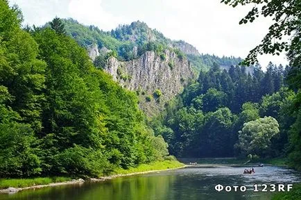 Каква е силата на реката и какви са неговите източници (електрически) Каква е силата на реката и какви са нейните източници