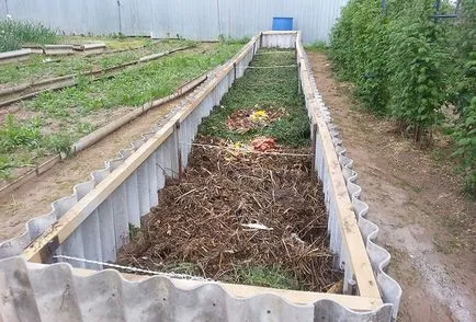Какво е хумуса, от който и да е, какви са ползите от него и къде да се вземат