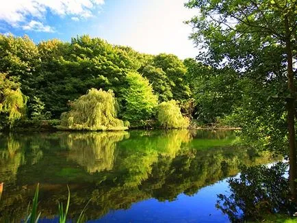 Какво е режим на реката, и от които зависи (какво) Какво е режим на реката, и от които зависи