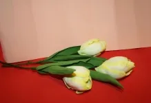 Цветя от foamirana майстор-модерния завод и микрона, малко с ръцете си, както и видео от областта