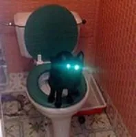 Десет мита за котки