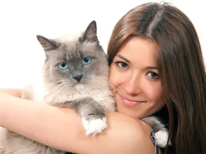 Девет причини да котка