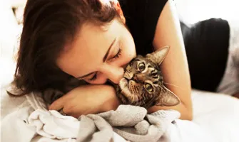Девет причини да котка