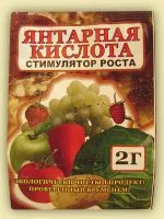 дом кактус