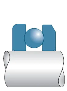 Avimaks лагери
