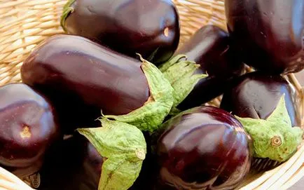 Патладжан рецепти бързи и вкусни за всички поводи