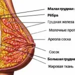 Фибро кистозна болестни симптоми на гърдата лечение на народната медицина