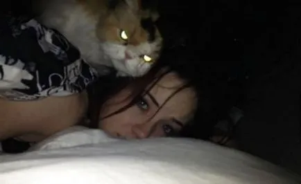 Снимките показват, че котката