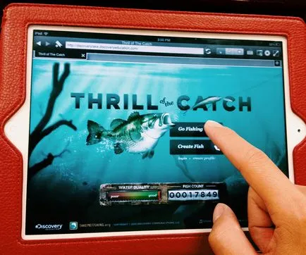 Flash Player за IPAD - как да инсталирате приложение от Adobe
