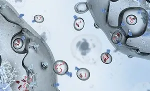SBD ро регионално Clinical Oncology диспансер